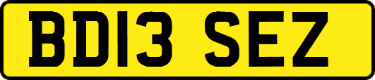 BD13SEZ