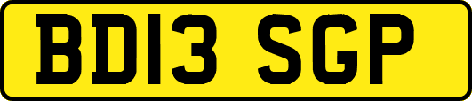 BD13SGP