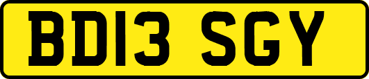 BD13SGY