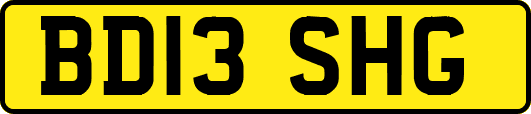 BD13SHG