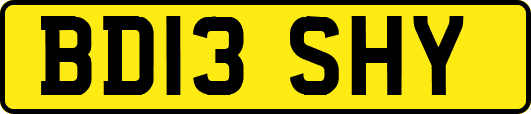 BD13SHY