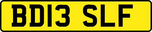 BD13SLF