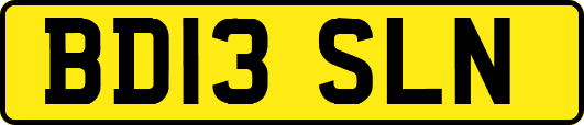 BD13SLN