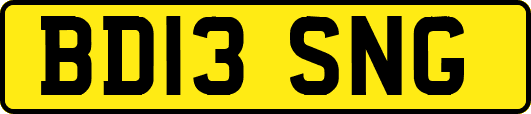 BD13SNG