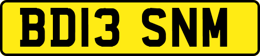 BD13SNM
