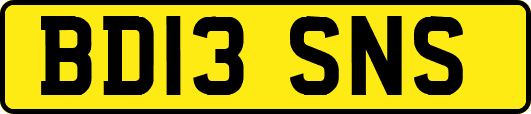 BD13SNS