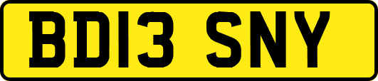 BD13SNY