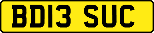 BD13SUC