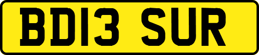 BD13SUR
