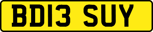 BD13SUY