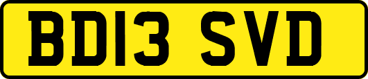 BD13SVD