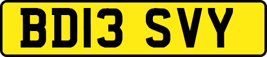 BD13SVY