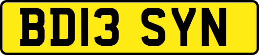 BD13SYN