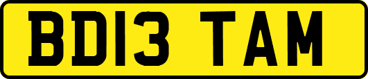 BD13TAM