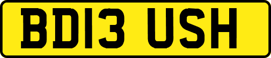 BD13USH