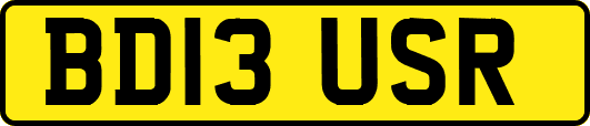 BD13USR