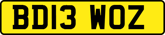 BD13WOZ