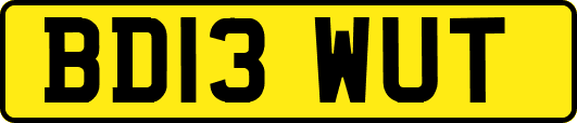 BD13WUT