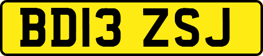 BD13ZSJ