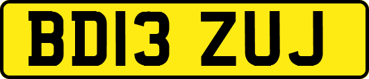 BD13ZUJ