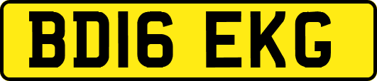 BD16EKG