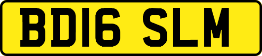 BD16SLM