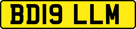 BD19LLM