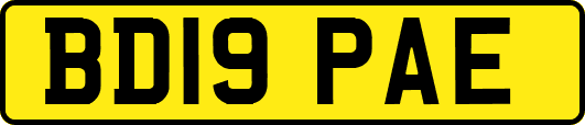 BD19PAE