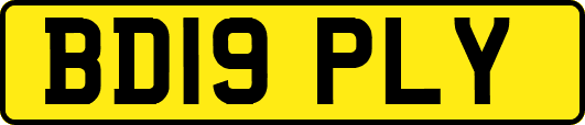 BD19PLY