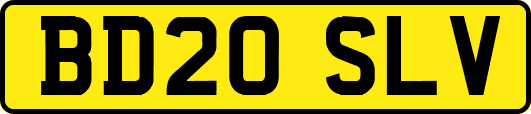 BD20SLV