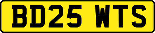 BD25WTS
