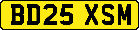 BD25XSM