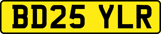 BD25YLR