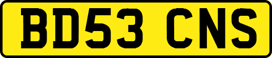 BD53CNS