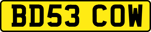 BD53COW