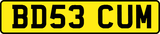 BD53CUM