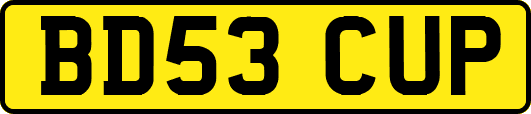 BD53CUP