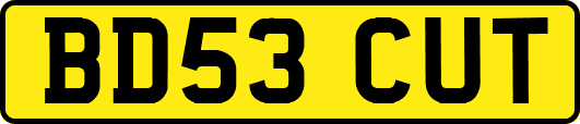 BD53CUT