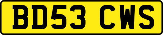 BD53CWS
