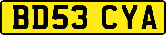 BD53CYA
