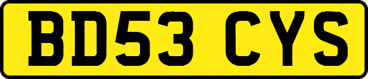 BD53CYS