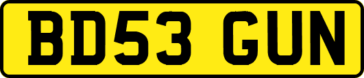 BD53GUN