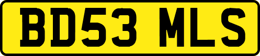 BD53MLS