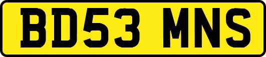BD53MNS