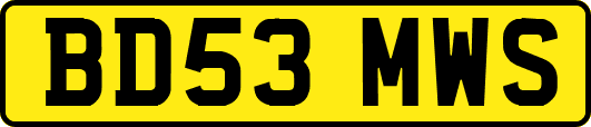 BD53MWS