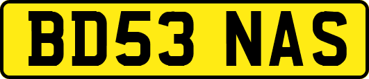 BD53NAS