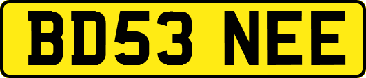 BD53NEE