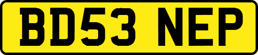 BD53NEP