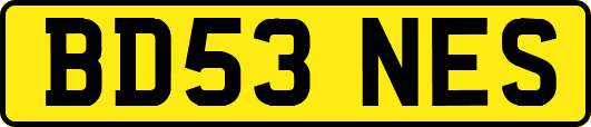 BD53NES