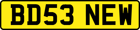 BD53NEW